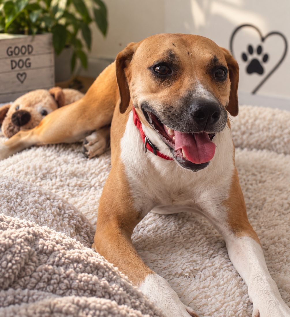Zeyna