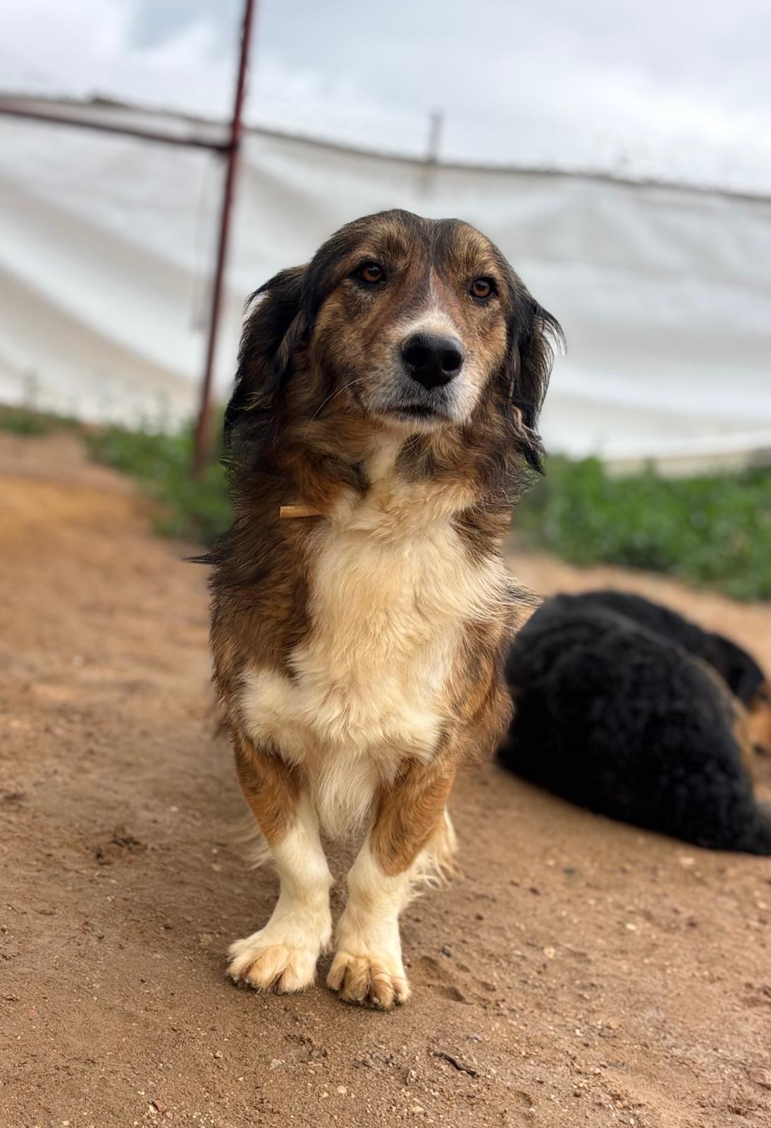 Foto van Maya