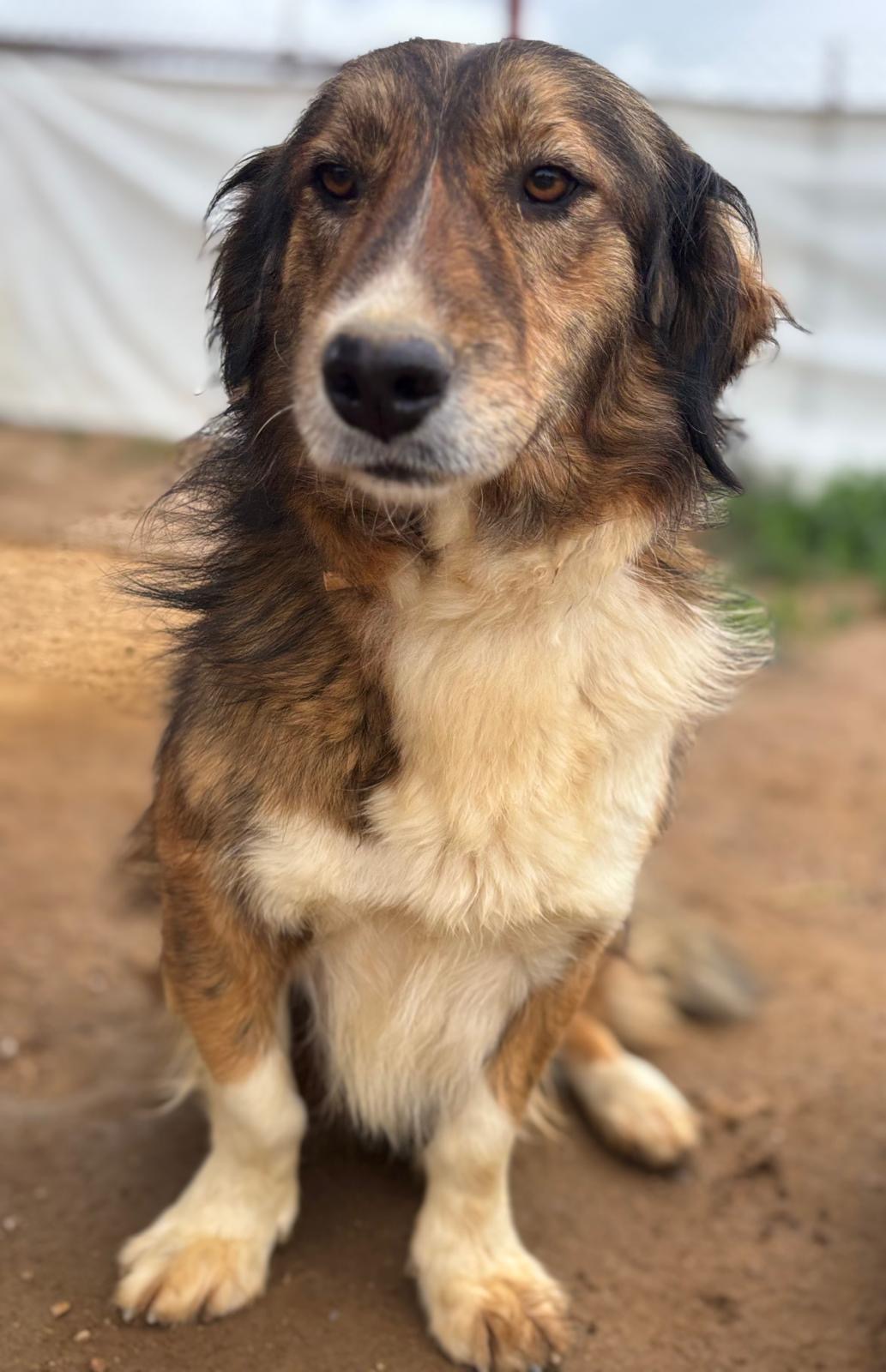 Foto van Maya