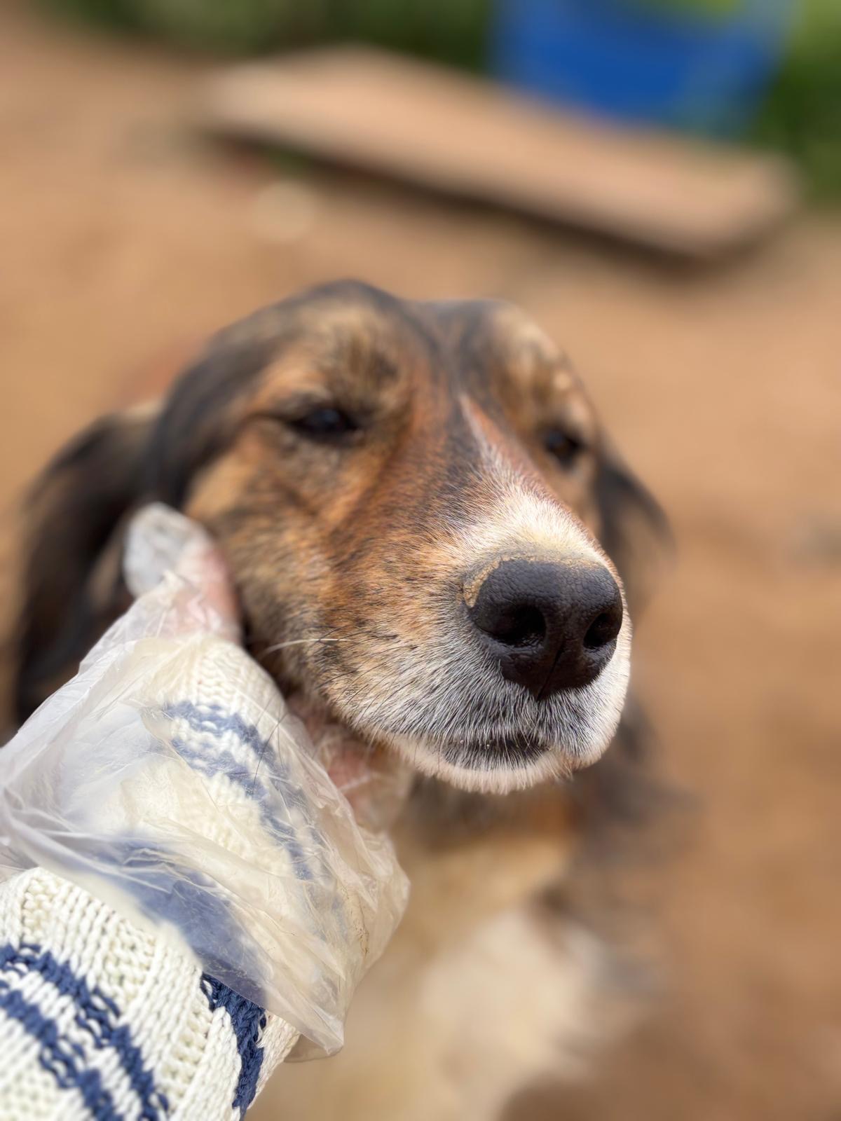 Foto van Maya