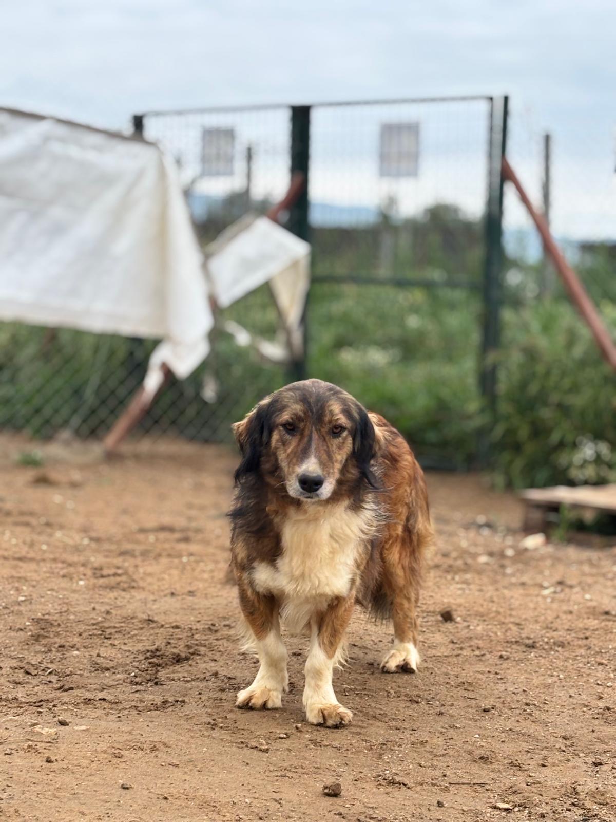Foto van Maya